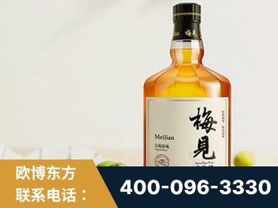 铜川-梅见青梅酒